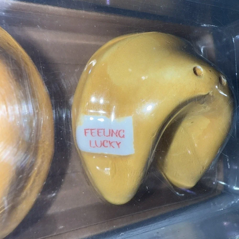 NWT Fortune Cookie Ceramic Salt and Pepper Shakers Bright Future Good Fortune